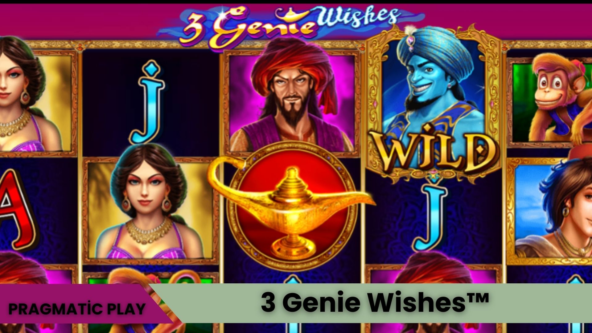 3 Genie Wishes