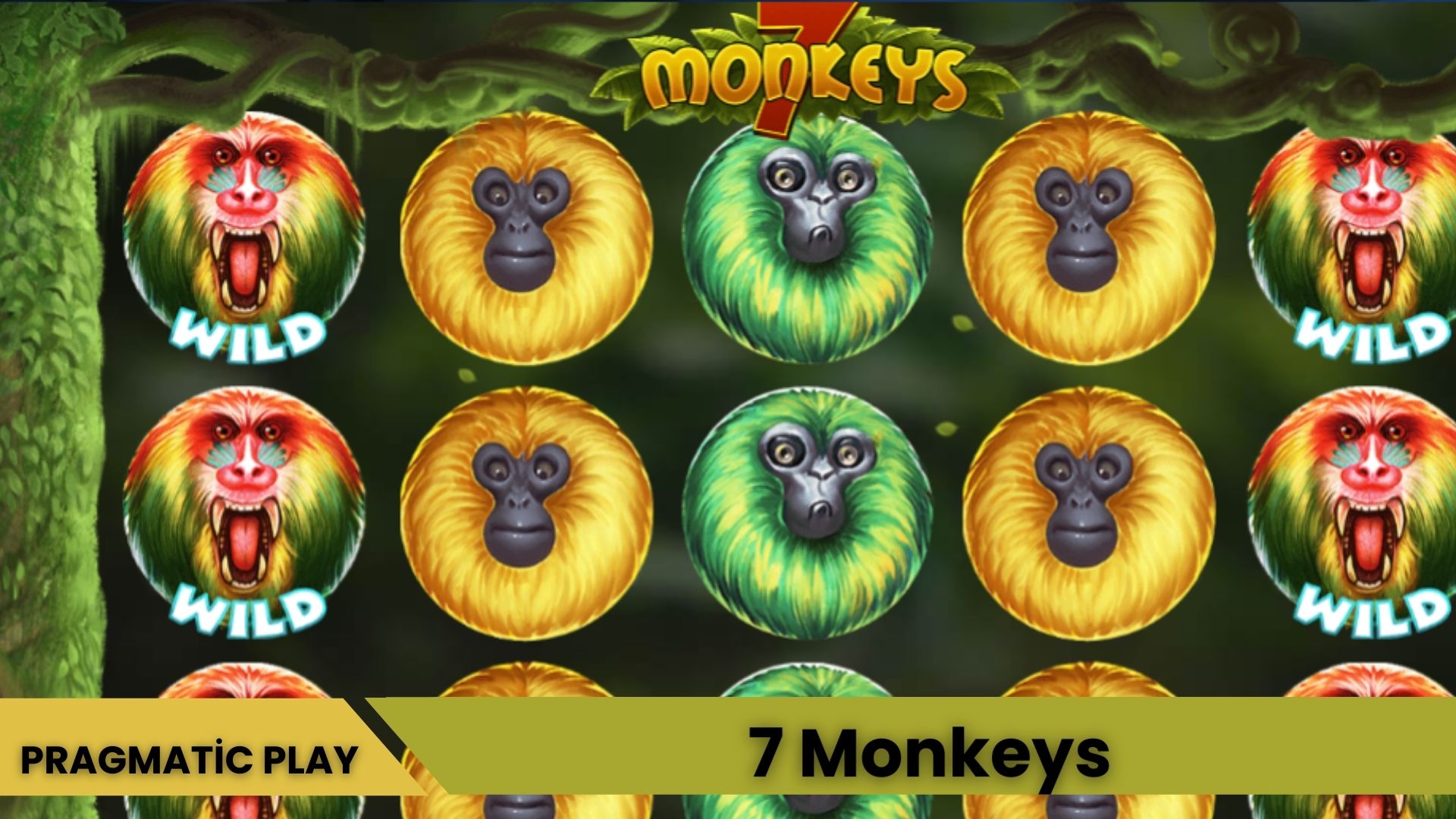 7 Monkeys™