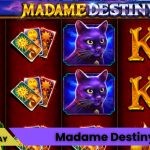 Madame Destiny™