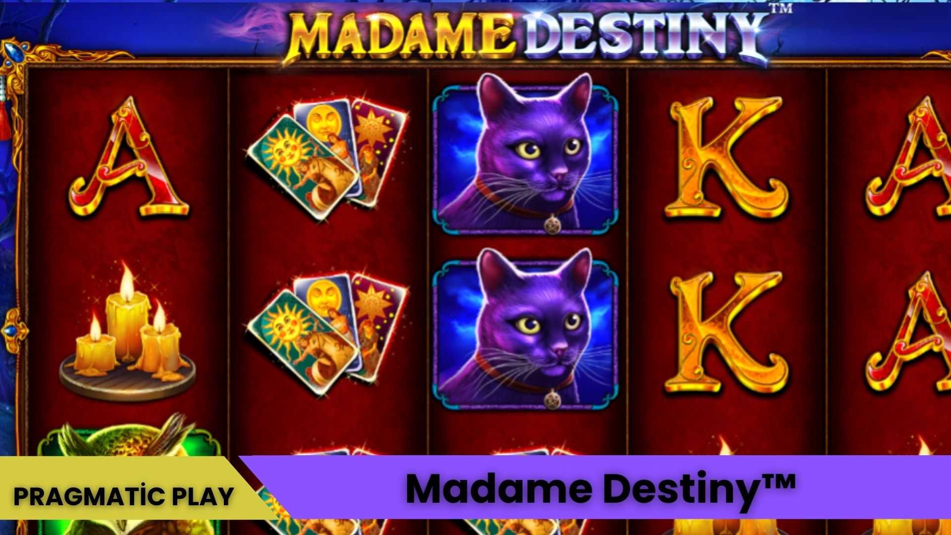 Madame Destiny™