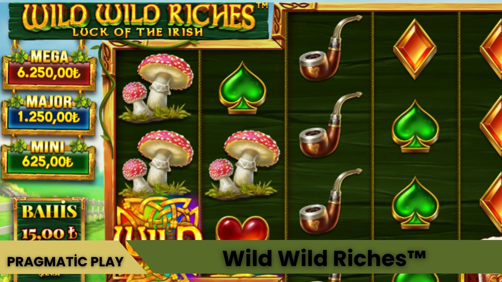 Wild Wild Riches